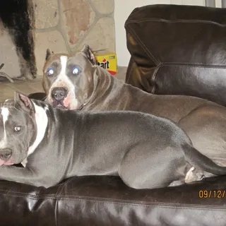 Kali R.