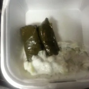 2 grape leaves with cucumber, yogurt salad mixture