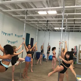 Beginner Pole Class