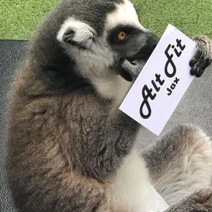 Honorary member, Maddie