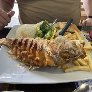 Red Snapper