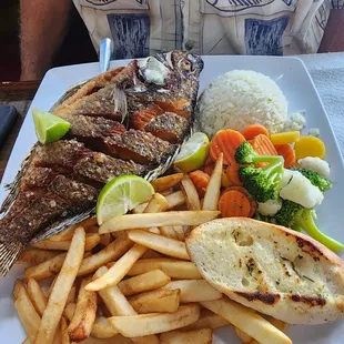 Tilapia