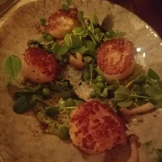 Roasted Sea Scallops