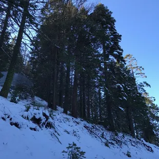 Roy Esqueda  January 2017