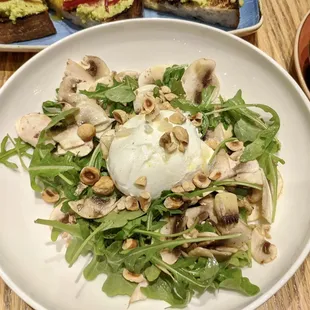 Creamy Burrata with Wild Mushrooms, Truffle, Arugula, Hazelnuts, EVOO ($19)