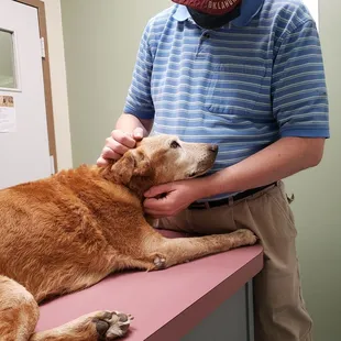 This is my husband Michael and our precious Lucky, saying Goodbye, before he was taken back for his catheter.