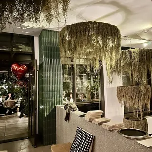 a living room with plants hanging from the ceiling