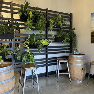 a wall of plants and barrels