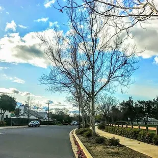 Our old neighborhood - We use to walk around this park a lot.