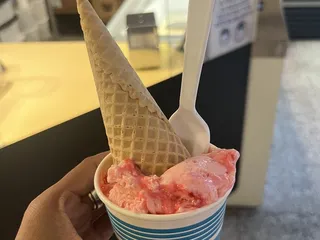 Larry's Homemade Ice Cream