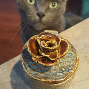 Kitty approved