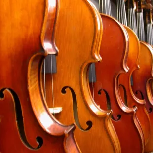 New and Used Violins for Sale. Most are of European origin and have been set up and adjusted for optimal tone quality and ease of playing.