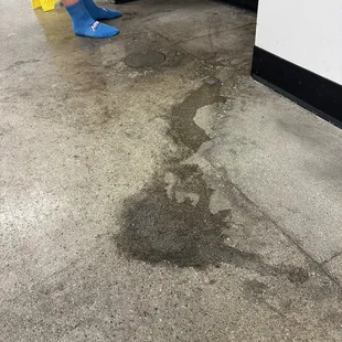 &quot;Walk through the puddles in the main hallway with your socks, kids!&quot;