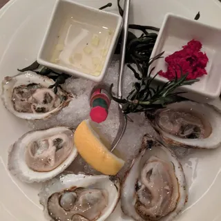 Chilled Oysters