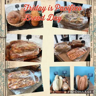 Pacifico Bread Friday