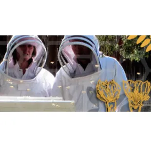 two beekeepers wearing bee suits