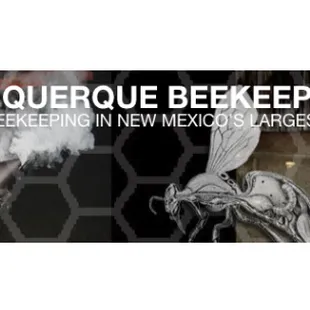 a beekeeper spraying a bee