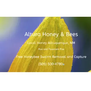 a bee on a yellow flower