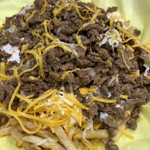 Carne Asada Fries