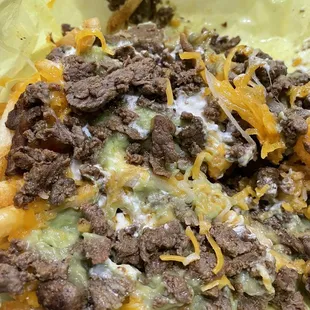 Carne Asada Fries