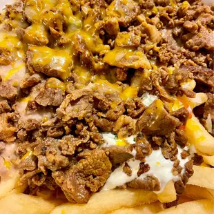 Super Fries Plate (toppings were under the carne asada)