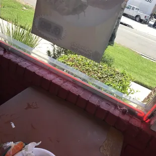 That whole strip is full of dead flies