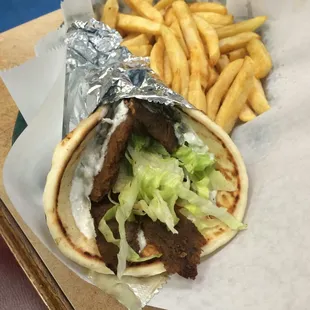 a pita and french fries