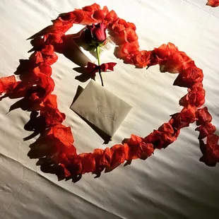 A heart of Rose Petals on the bed says it all !