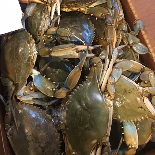 1/2 Bushel of small males