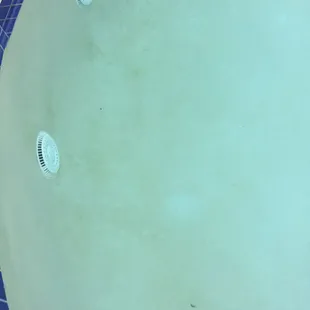 Always Blue Pools handiwork