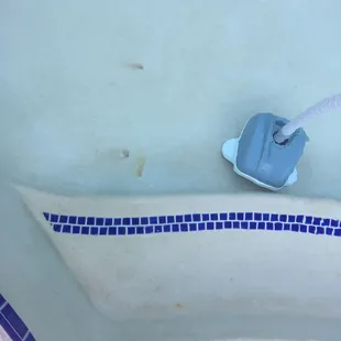 Random staining with Always Blue Pools giving no suggestions when the owner was asked to address this issue.