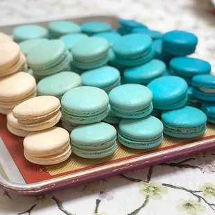 Blue ombre macarons. Perfect for a color themed event in the Bay Area.