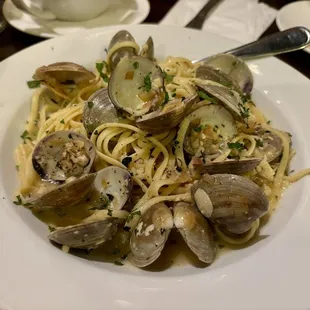 Fresh Clam Linguine