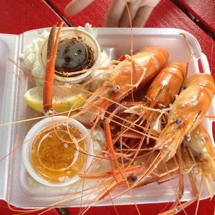 1 of 2 shrimp trucks that was recommended to us to in the north shore! (Romys)