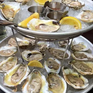 oysters, oysters and mussels, shellfish, food, mussels
