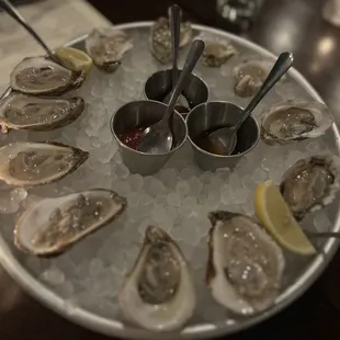 Oysters
