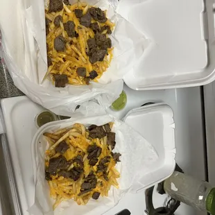 Carne asada fries