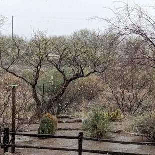 View from back deck outside breakfast room