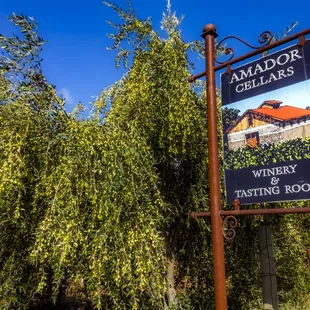 Photograph taken by John Huan Vu of San Jose on November 7, 2021. For personal use only unless with explicit permission from owner.