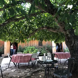 Outdoor seating area.