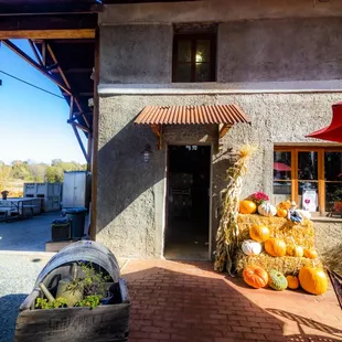 Photograph taken by John Huan Vu of San Jose, California on November 7, 2021. For personal use only unless explicit permission by the owner.