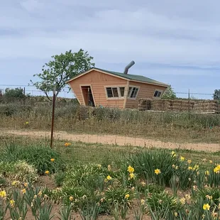 The area they host the fall pumpkin patch