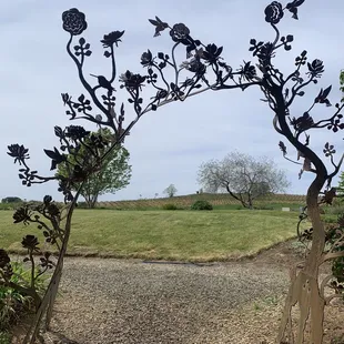 Looking out over their hillsides