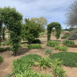 The garden near the entrance