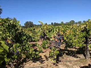 Ravenswood Historical Site