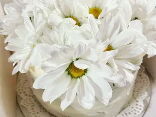 Sweet Petit Desserts