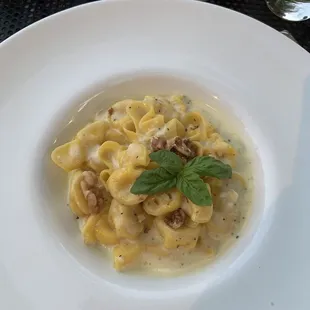 Saccheti