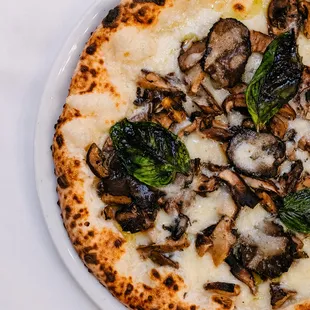 The best mushroom pizza in town, with gourmet mushroom blend and 3 types of cheeses, try the Tartufo e Funghi Pizza.