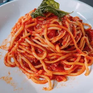 Bucatini Bolognese