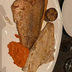 Red Snapper